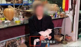 福州爆料博主事件最新,揭秘网络舆论背后的真相与争议